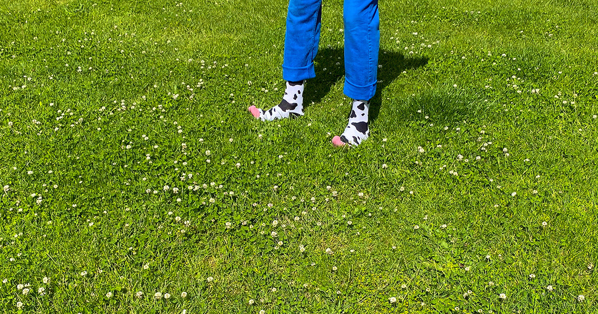 Spotted cow socks, with black spots on a white background, worn by a farmer standing in a field of green grass.