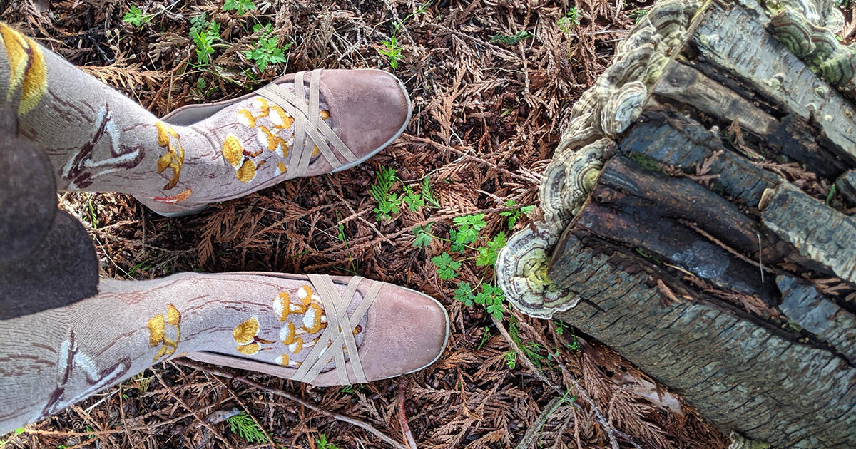 Mushroom-themed novelty socks next to a fungus-covered log.