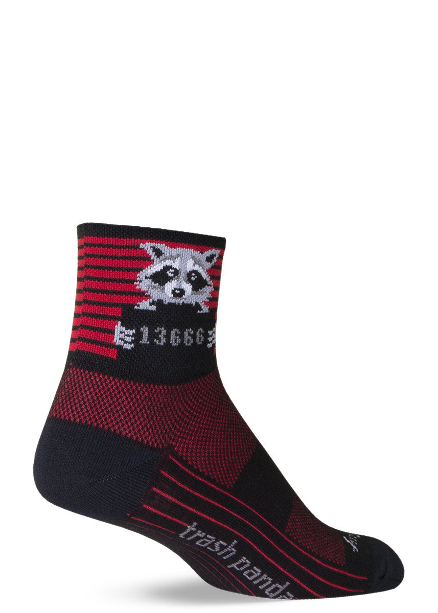 Funny raccoon socks with raccoons getting their mugshots taken on red & black striped background with the words "trash panda"