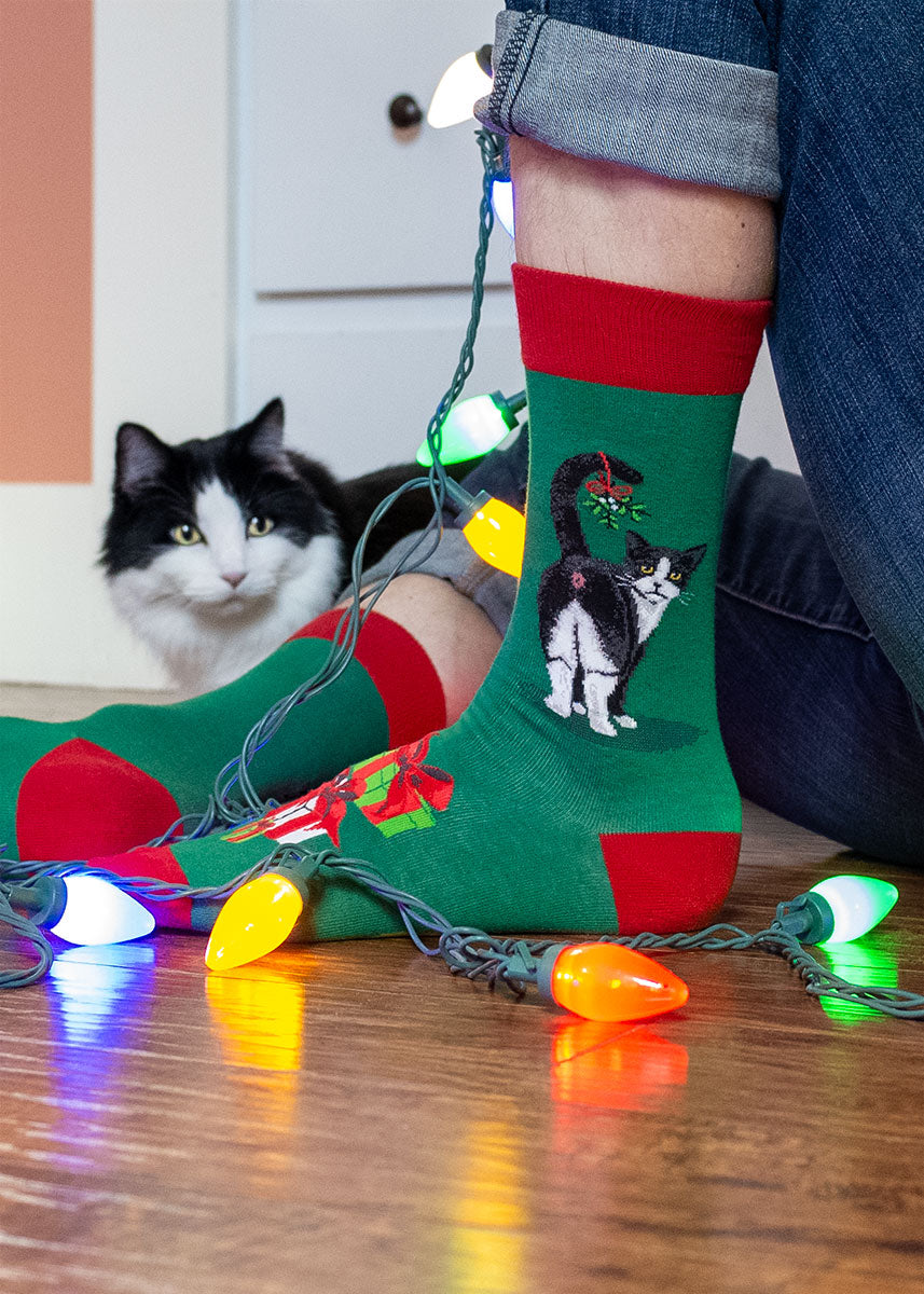 A male model wearing Christmas cat butt-themed novelty socks poses on the floor with Christmas lights and a Tuxedo cat.