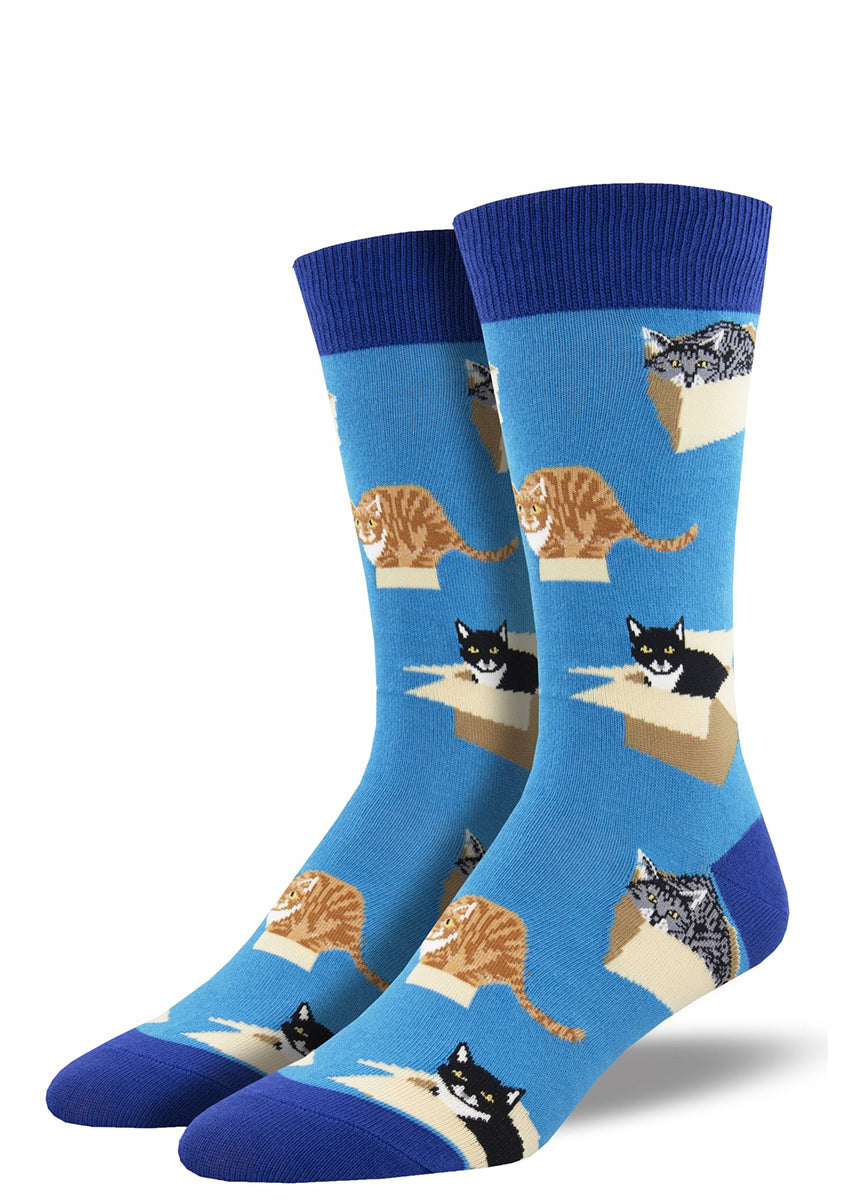 Funny cat socks for men show different types of cats resting and crouching on cardboard boxes!