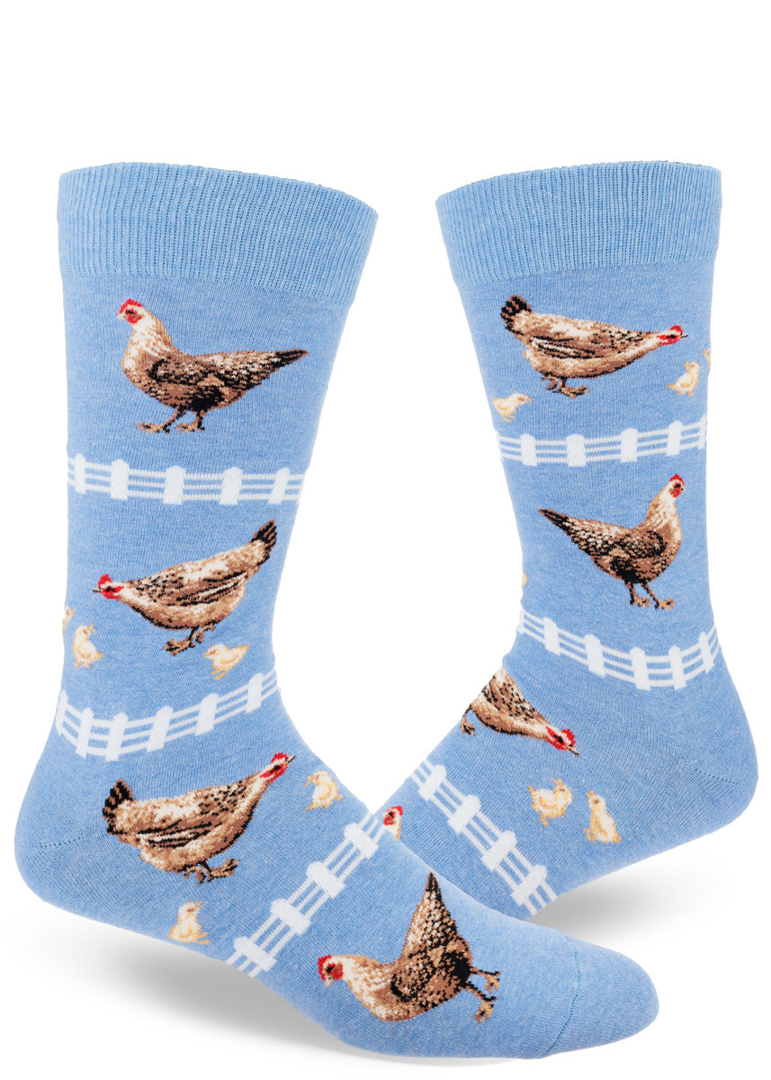 Novelty chicken socks for men with hens, chicks and white picket fences on a soft blue background, 