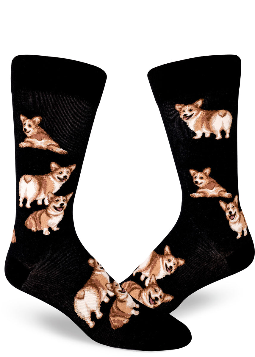 Corgi butt socks for men with corgi dogs showing their bottoms on a black background