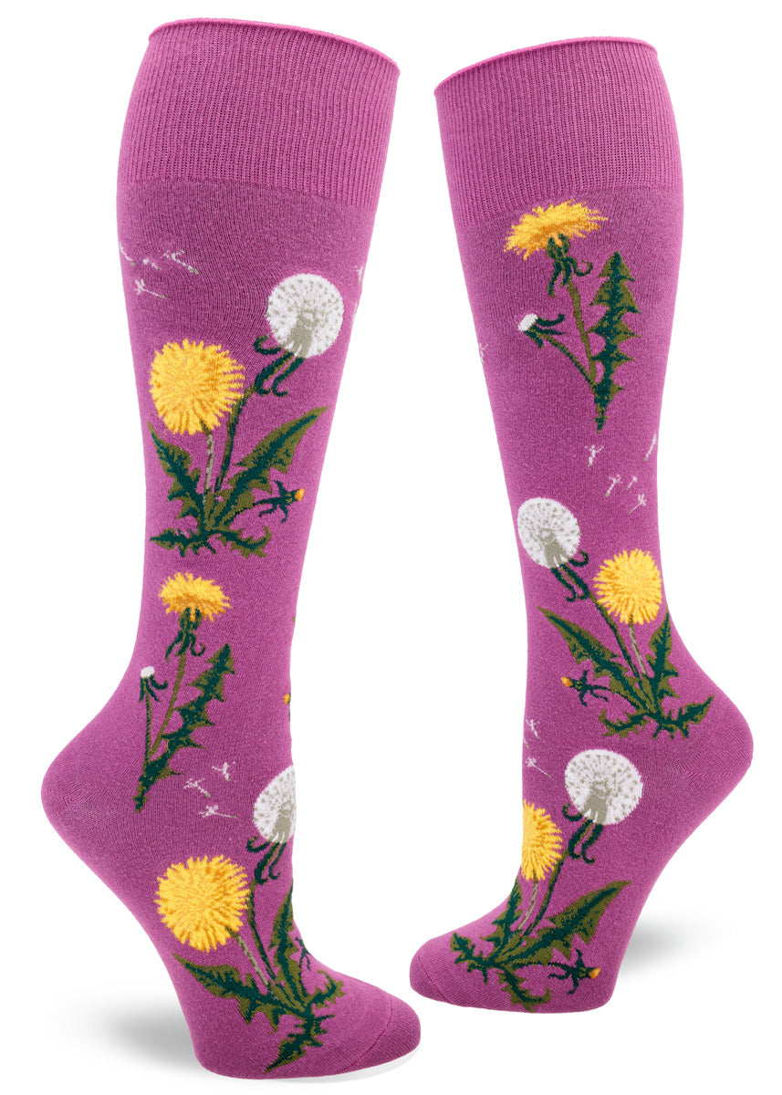 Magenta knee socks with a roll-top cuff feature a pattern of yellow dandelion flowers, some with their seeds scattering in the wind.