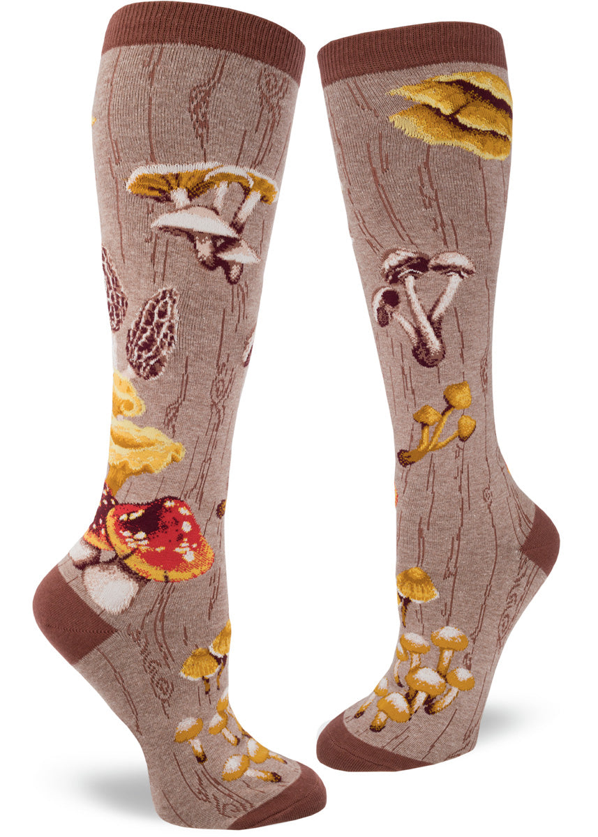 Knee-high mushroom socks with different mushrooms on a brown background