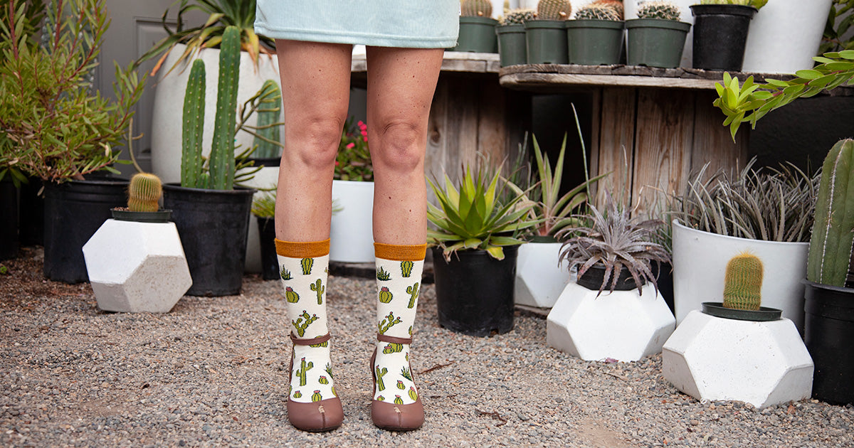 Cactus socks surrounded by cactus plants
