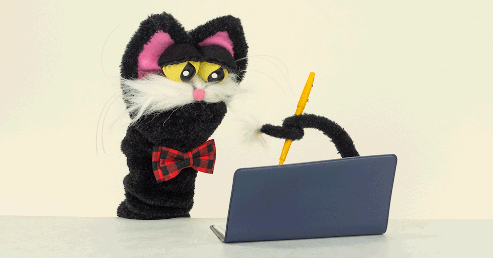 Norm the cat sock puppet writes a donation check to NAMI from Cute But Crazy Socks.