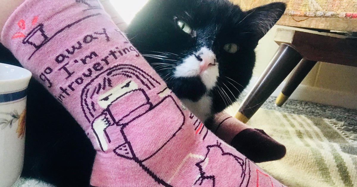 Socks that say "Go Away I'm Introverting" with a cute black and white cat