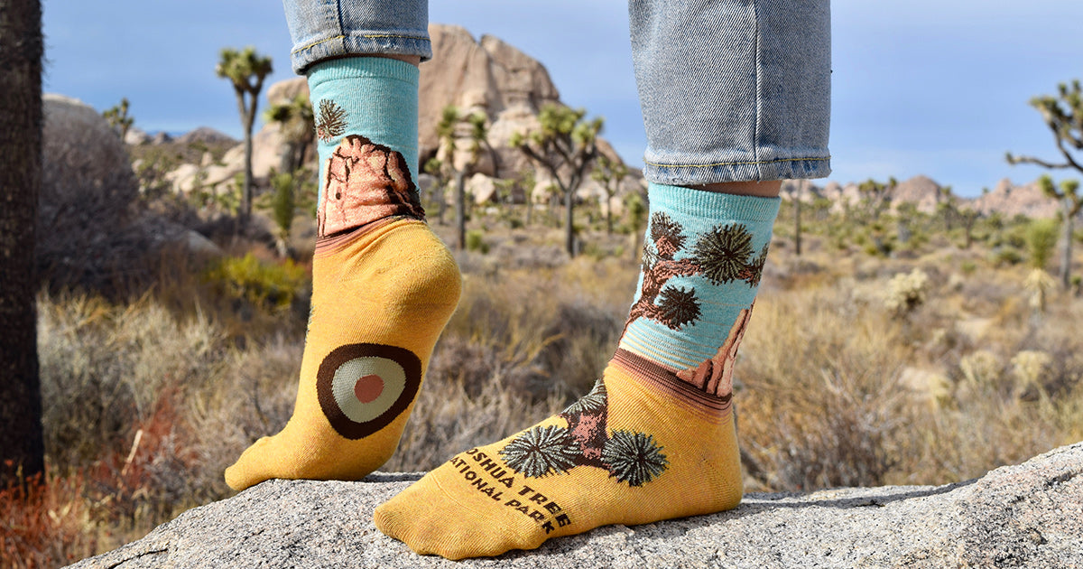 Joshua Tree National Park socks worn in the park look great with the Joshua trees in the background