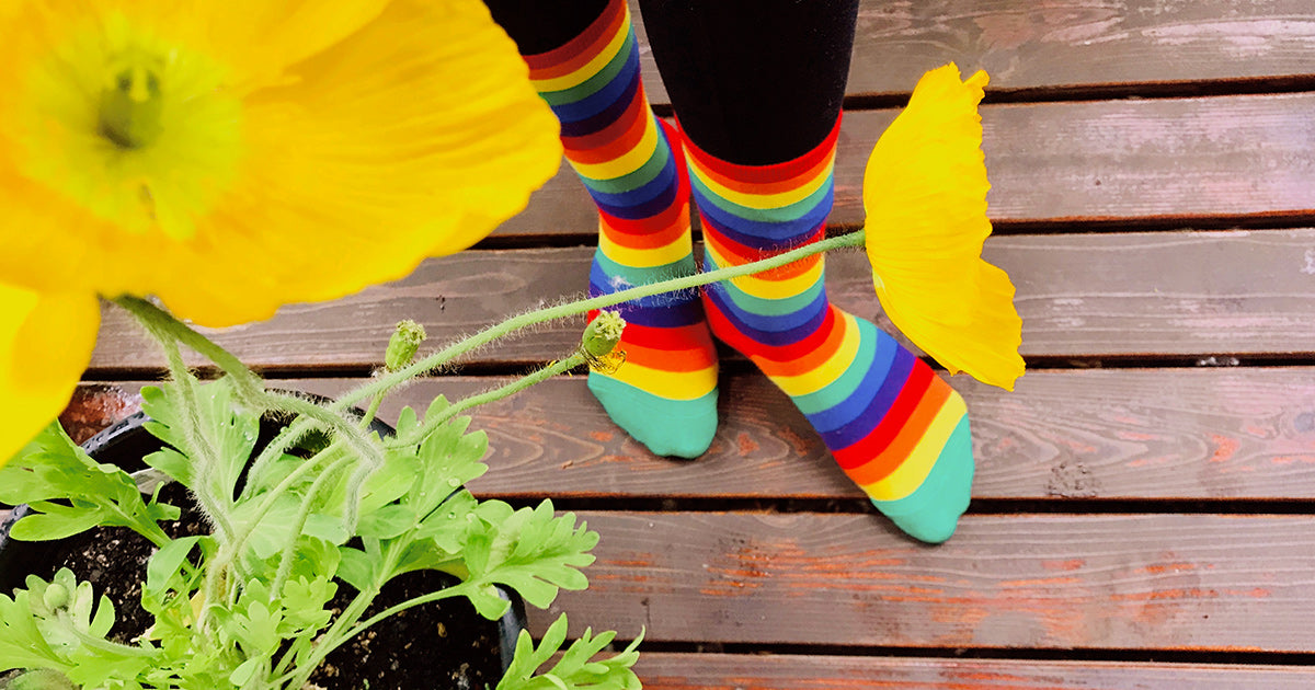 Rainbow striped socks with a yellow poppy flower.
