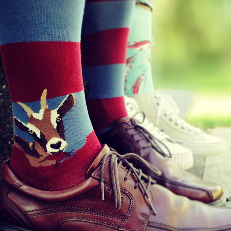 Animal socks for men featuring goats on a blue and red stripe.