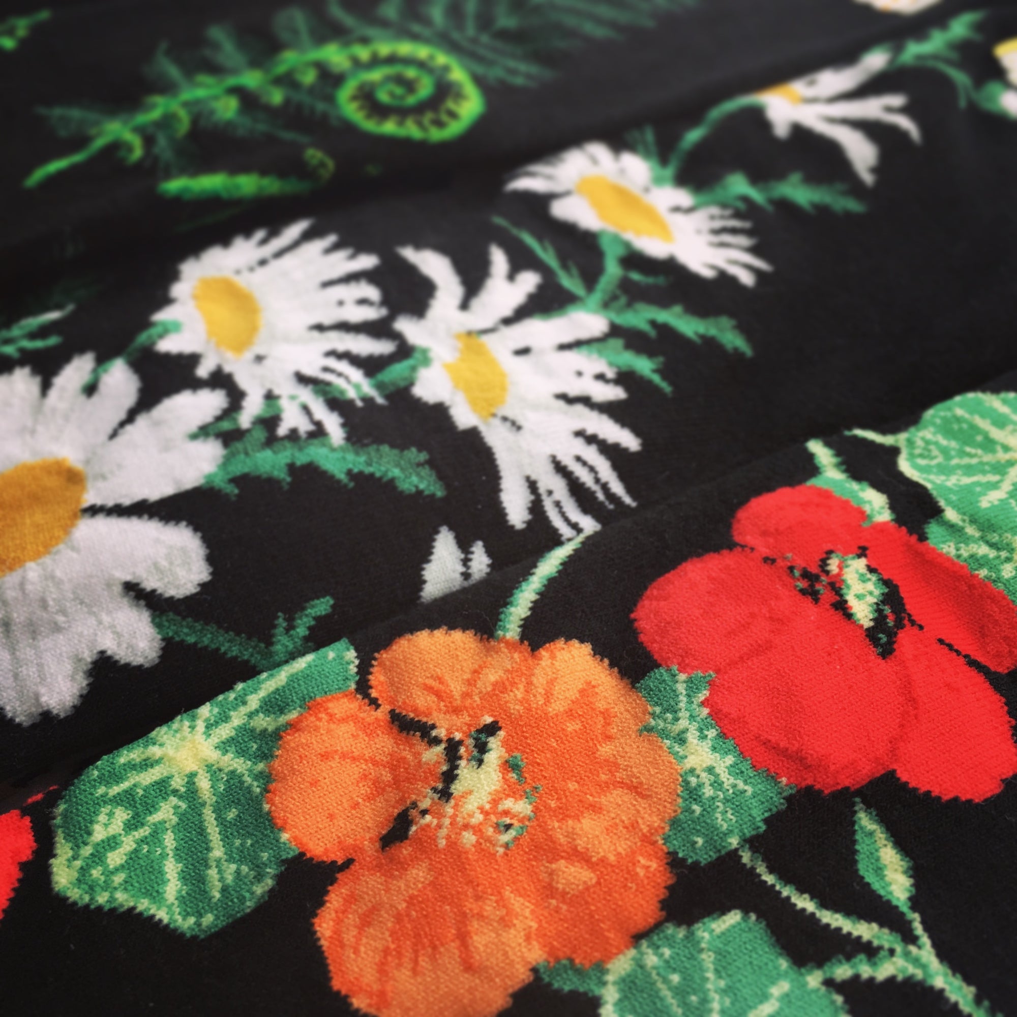 This Flower Garden Collection shows off garden and plant themed socks, including these 3 ModSocks knee highs that have black backgrounds. The front shows off red and orange nasturtiums, the 2nd white and yellow daisies, the 3rd green ferns and fiddleheads