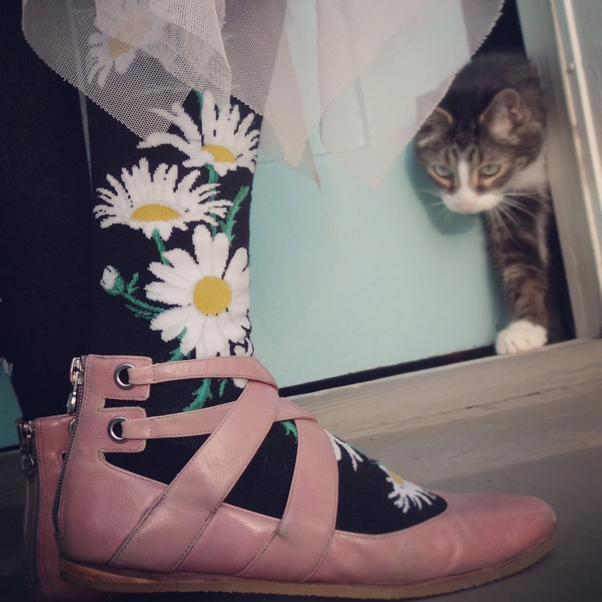 A cat looks at the beautiful floral socks his owner wears, which are adorned with daisy flowers on a black background.