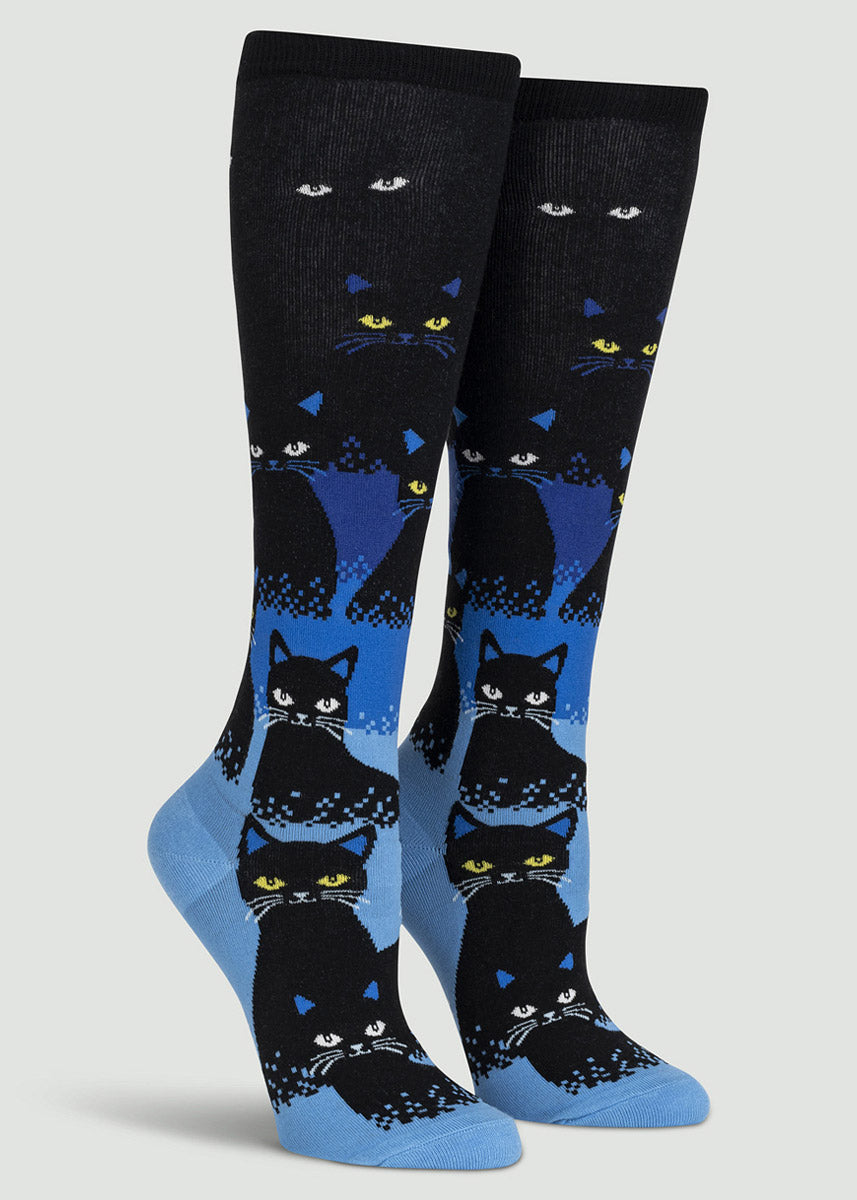Knee socks with a black-to-blue background gradient behind a pattern of black cats, the design creating the illusion of cats disappearing into the darkness.