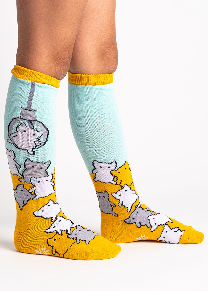 Light blue and yellow knee socks for kids that depict a cat claw game, with cats in all different colors ready to be lifted up by a big metal claw.
