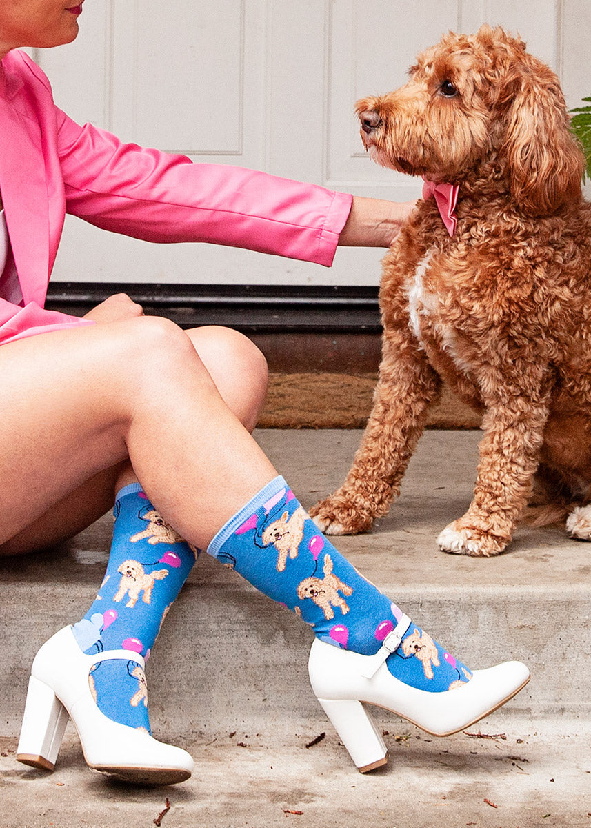 A female model wearing &quot;doodle&quot; dog-themed novelty socks and white heels poses with a goldendoodle dog on the front steps.