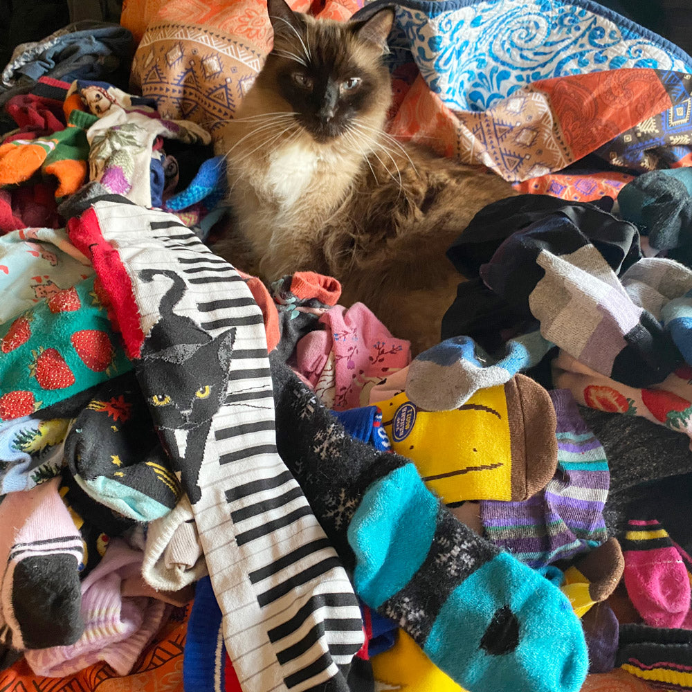 A cat looks up from a pile of laundry containing many colorful novelty socks.