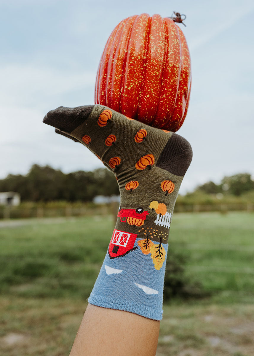 Fall pumpkin patch-themed crew socks for women feature a design that includes trucks hauling giant pumpkins, classic red barns and trees showing their autumn colors.