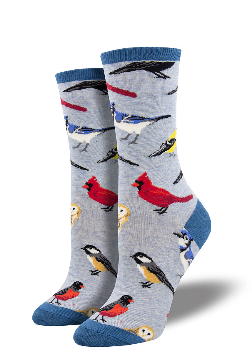 Bird socks for women feature cardinals, chikadees, goldfinches, bluejays, and barn owls on a light blue heather background. 