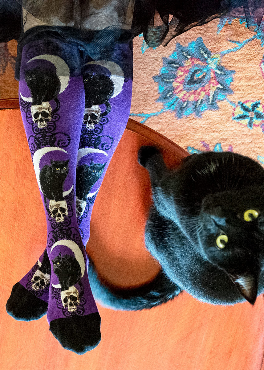 A female model wearing purple black cat-themed novelty knee socks poses cross legged next to a black cat.