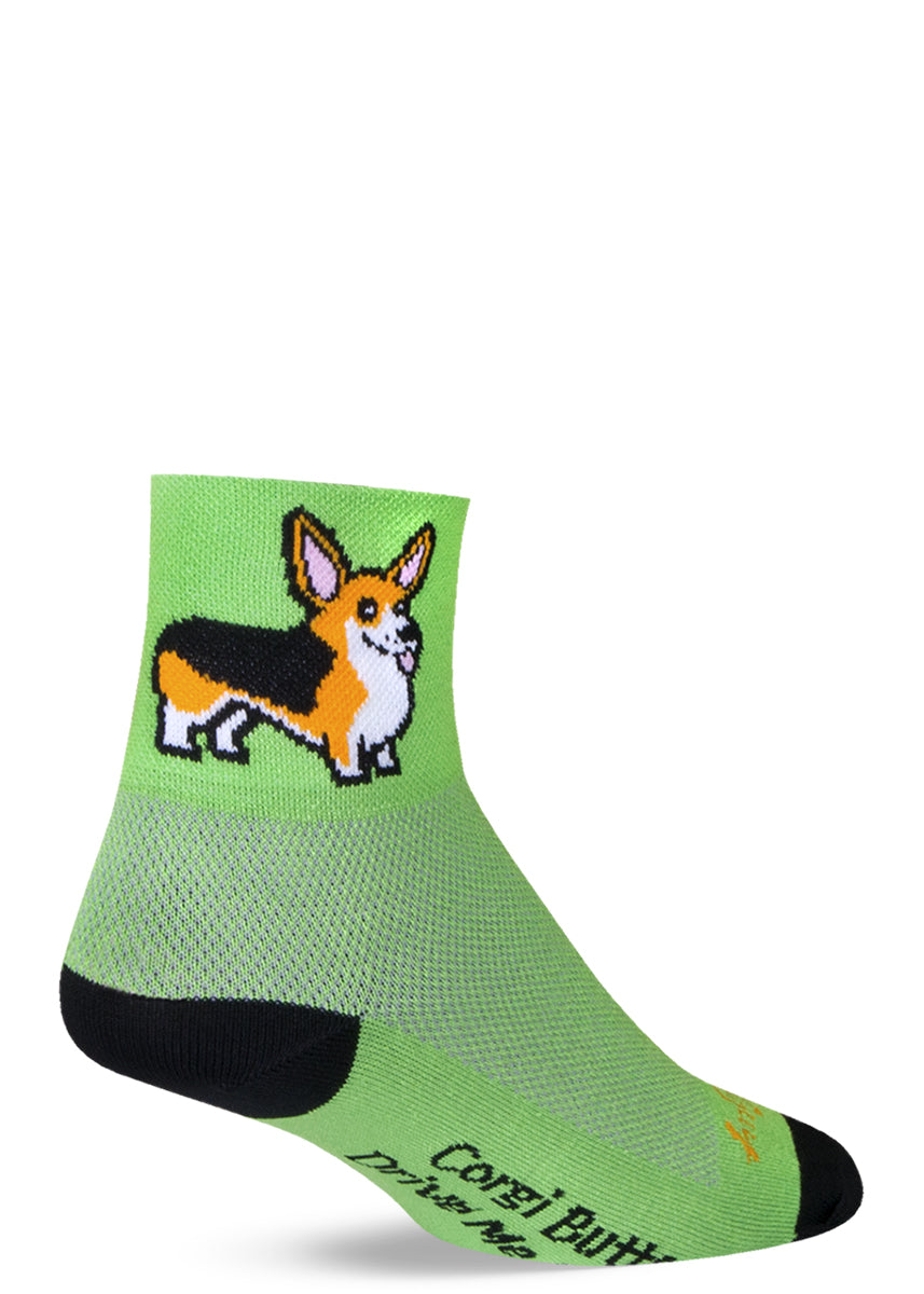 Cute corgi dog socks for men and women with smiling Welsh corgis and the words "Corgi butts drive me nuts."
