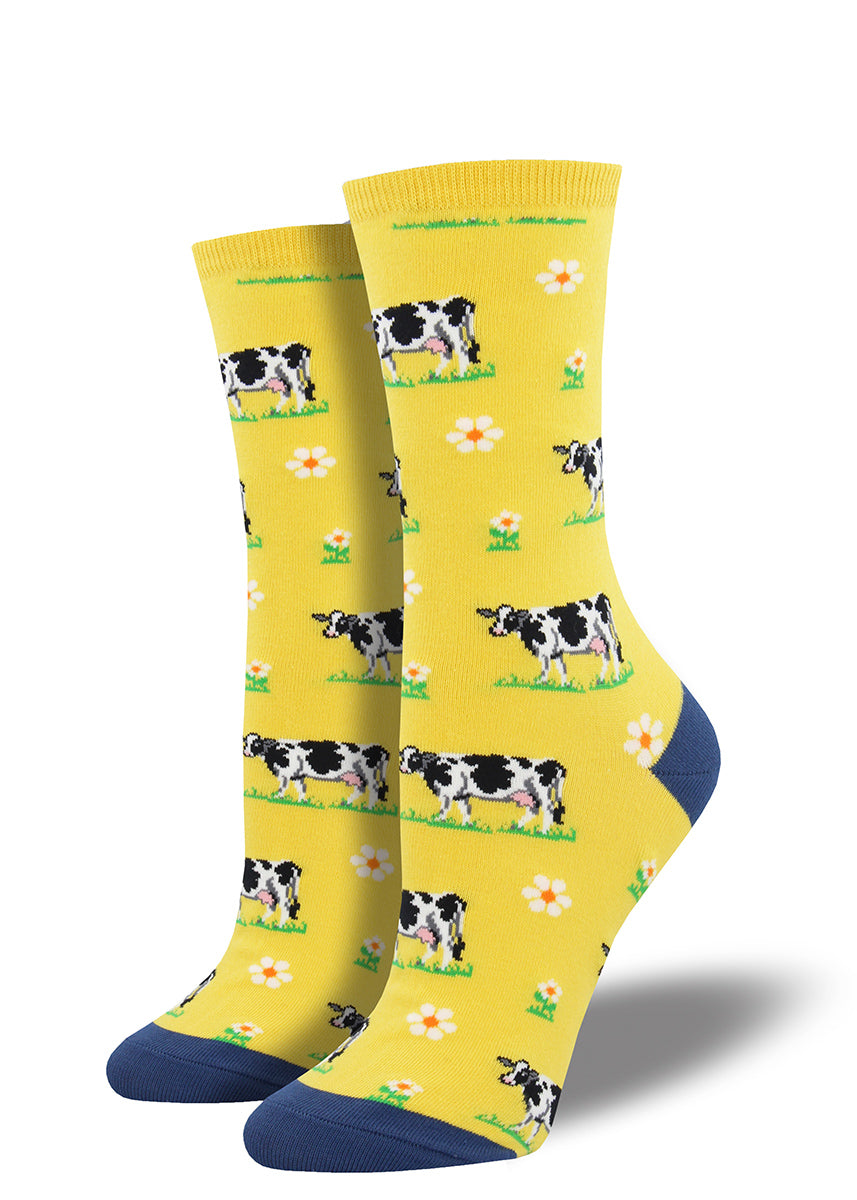 Adorable cows graze in a field with daisies.