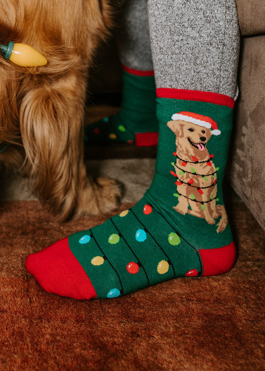 A model wearing Christmas-themed novelty socks featuring a golden retriever poses next to a golden retriever wearing Christmas lights.
