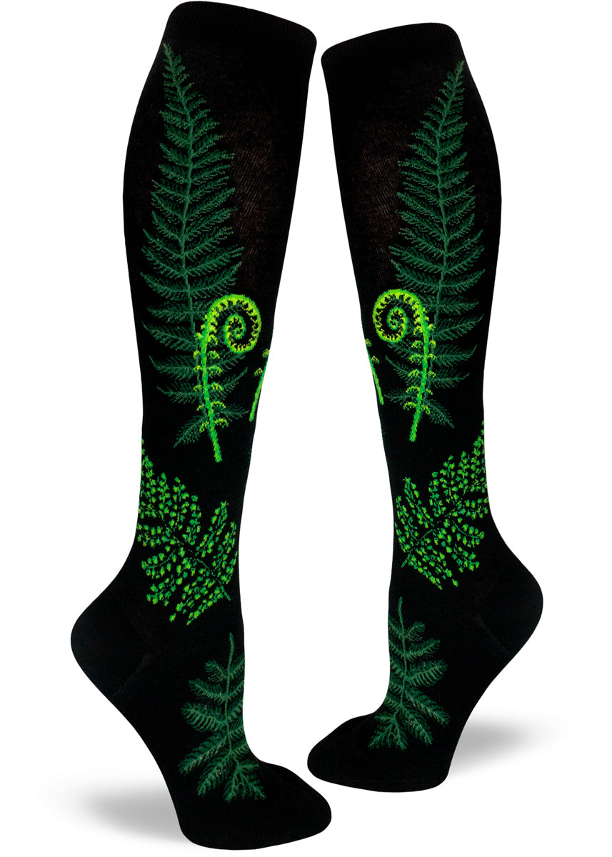 Knee-high fern socks for women with ferns and fiddleheads on a black background