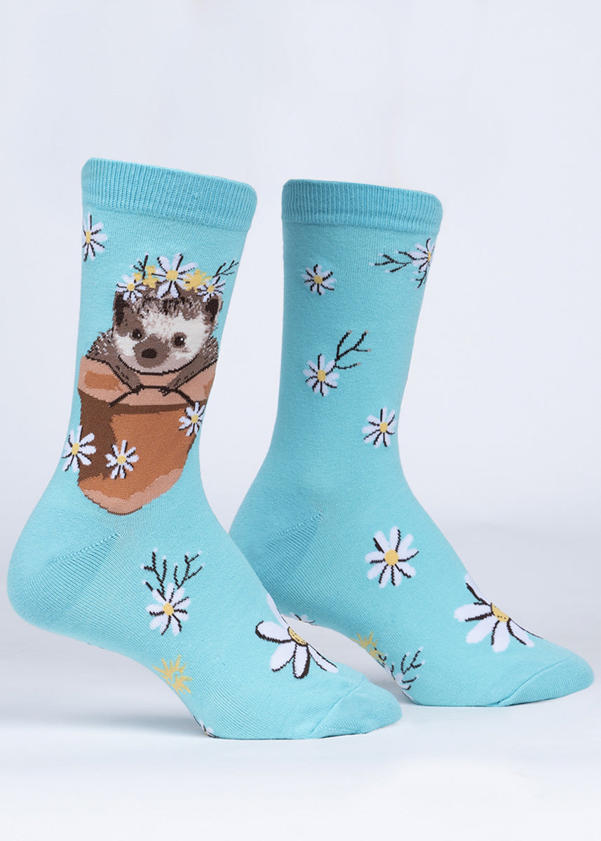 Cute animal socks for women feature a hedgehog in a terracotta pot surrounded by white daisies!