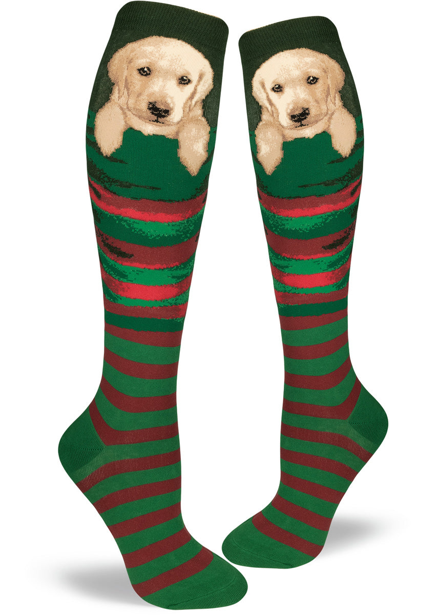 Cute yellow Labrador puppies sit in stockings on these Christmas dog socks for women.