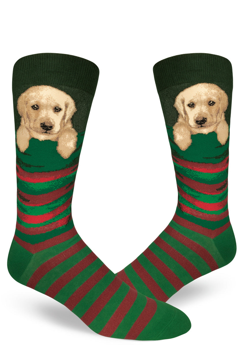 Adorable Christmas socks for men with yellow Labrador puppies in Christmas stockings.