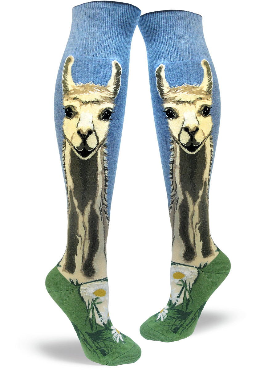 knee-high llama socks for women with llamas smiling against a blue sky and green grass