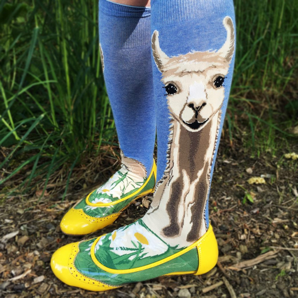 These llama socks make a stylish statement with a fluffy white llama resting on green grass and daisies under a blue sky.