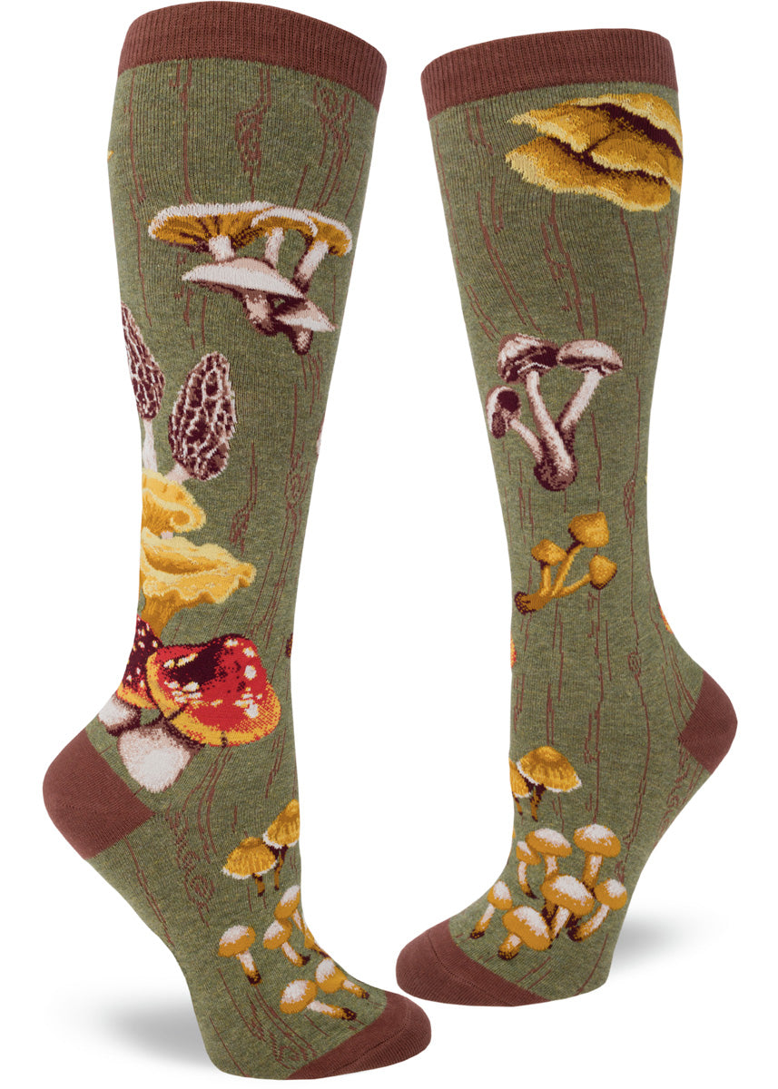 Knee-high mushroom socks with different mushrooms on a green background