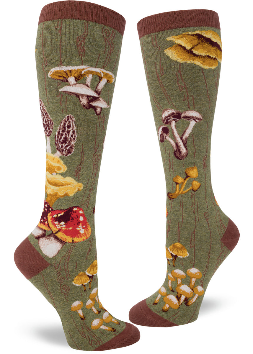 Knee-high mushroom socks with different mushrooms on a brown background