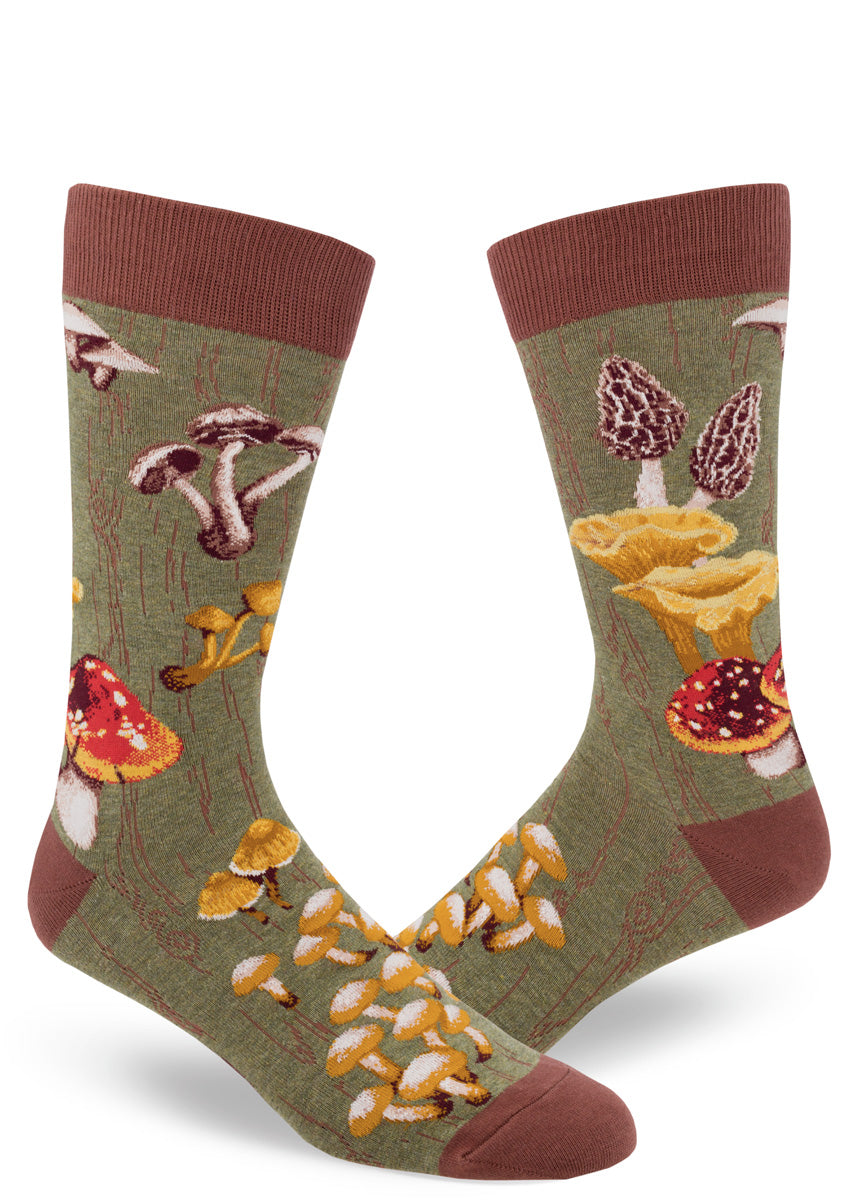 Mushroom socks for men with different mushrooms on a brown background