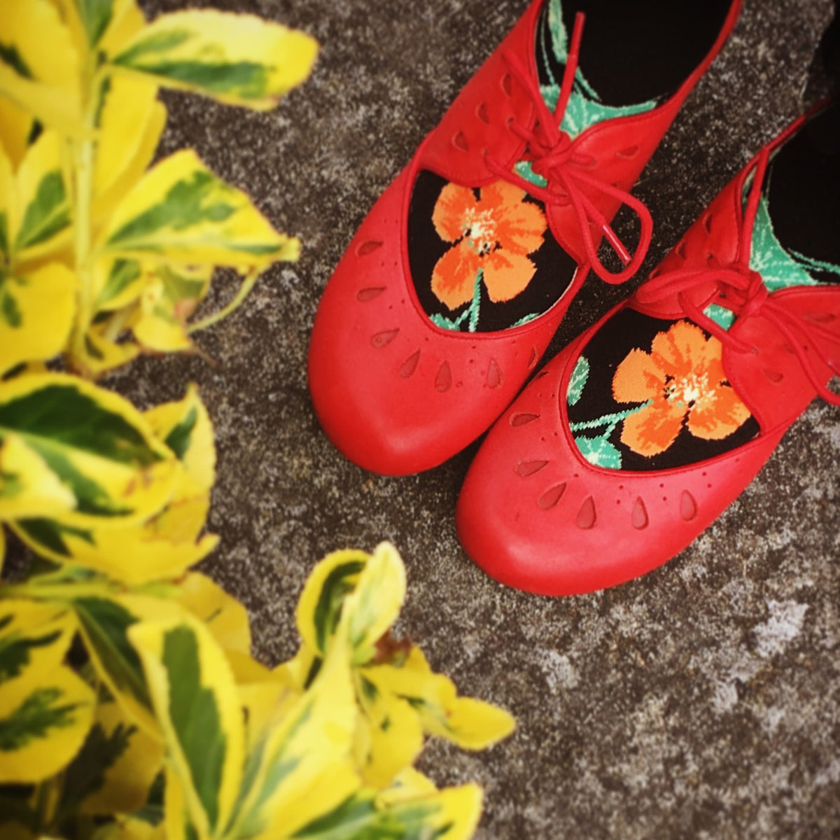 Orange nasturtium flowers on the feet of ModSocks&#39; beautiful floral knee socks.