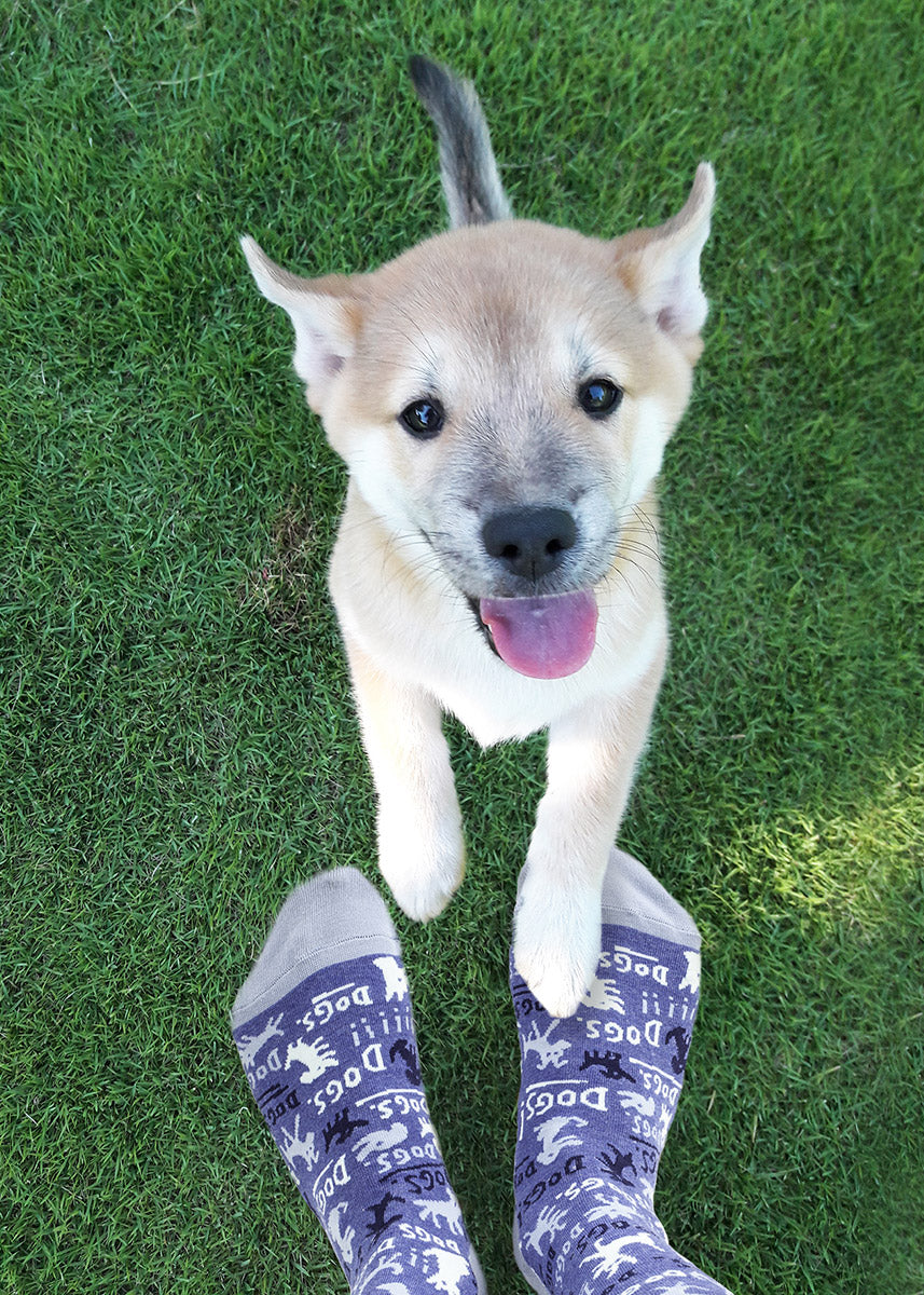 A puppy rests his paws on top of a models feet in the grass, wearing a pair of socks that are dark blue, with mostly white and some black lettering saying &quot;Dogs! , the heel and toe of the socks are slate grey.