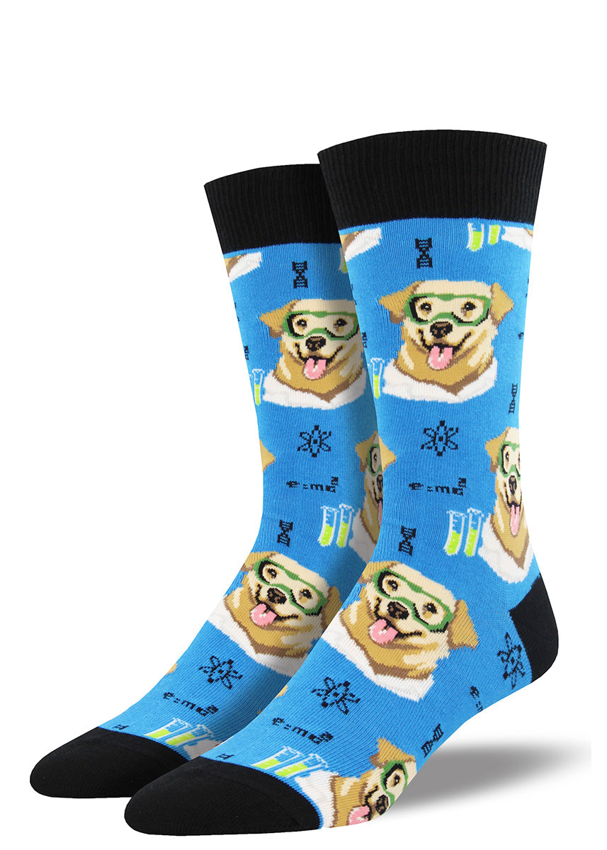 Funny men's dog socks with science "labs," yellow Labrador dog scientists.