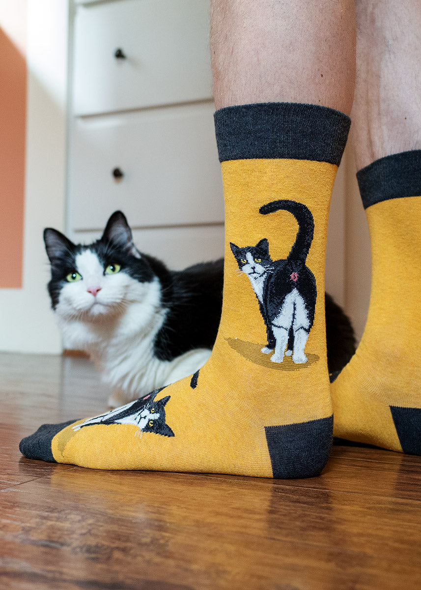 A male model wearing tuxedo cat-themed socks poses next to a tuxedo cat.