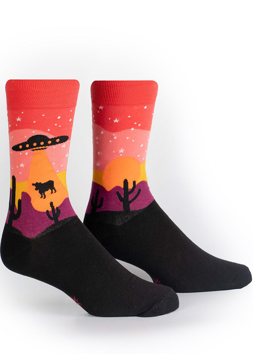 Area 51 socks for men show a UFO beaming up a cow on a beautiful desert night.